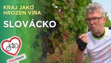 Cyklotoulky: Slovácko – Na kole mezi vinicemi a sklípkem