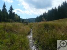 Divoká Bystřice ukazuje trošku jinou tvář Moldavy