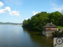 Novozámecký rybník, na jehož březích hnízdí mnoho vzácných druhů ptáků