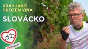 Cyklotoulky: Slovácko – Na kole mezi vinicemi a sklípkem